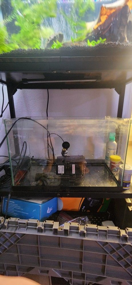 5 Gallon Rimless Aquarium W/ Seeded Hang On Back Filter