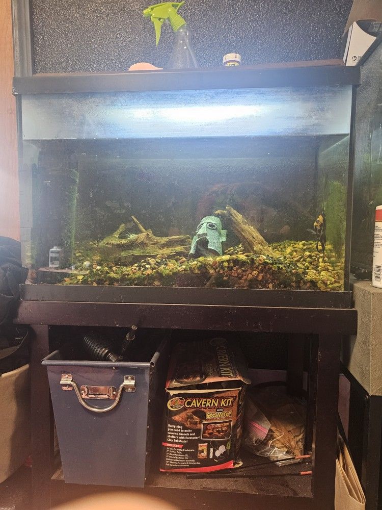 35 Gallon Fish Tank Everything Included!