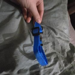 Dog Collar 