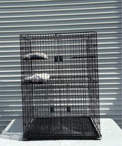 MidWest Homes for Pets, Collapsible Cat Playpen, Large 46-inches tall play area with four tiers Size:36L x 23.50W x 46H