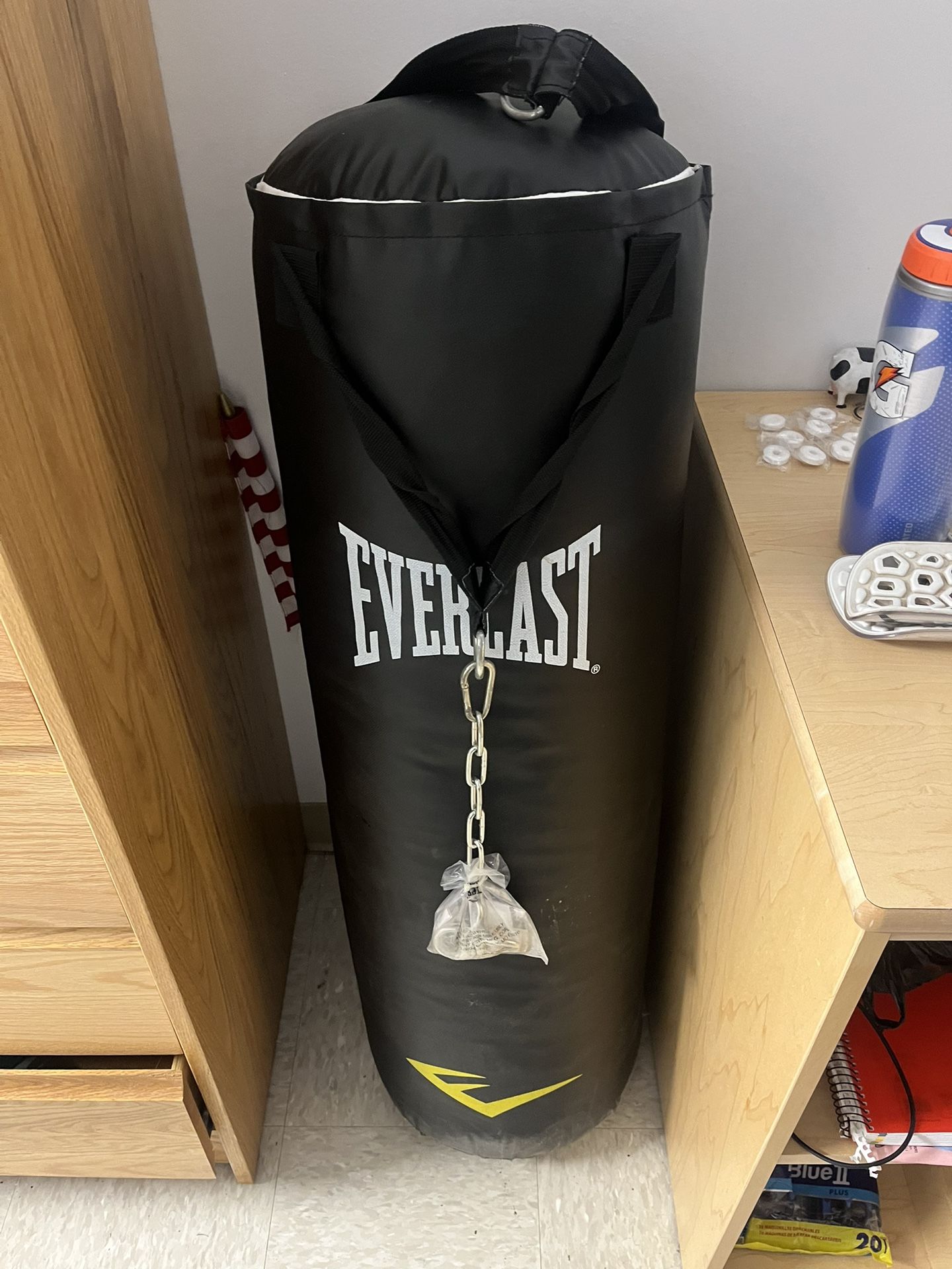 Everlast Punching Bag – Great Condition