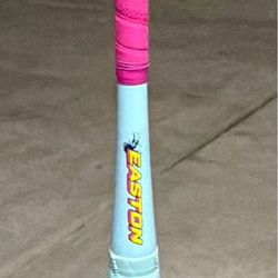 Easton Spring Break Dub baseball bat