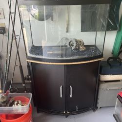 Fish Tank 