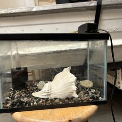 Fish tank 