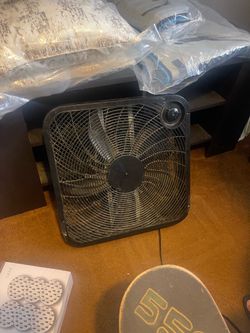 Fan
