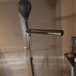 Elite Everlast Speed Bag