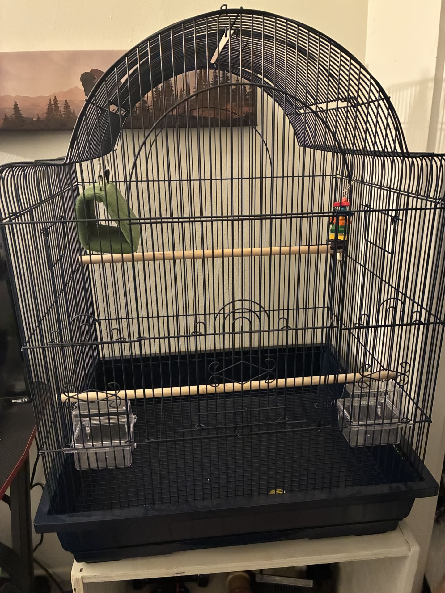 Bird Cage