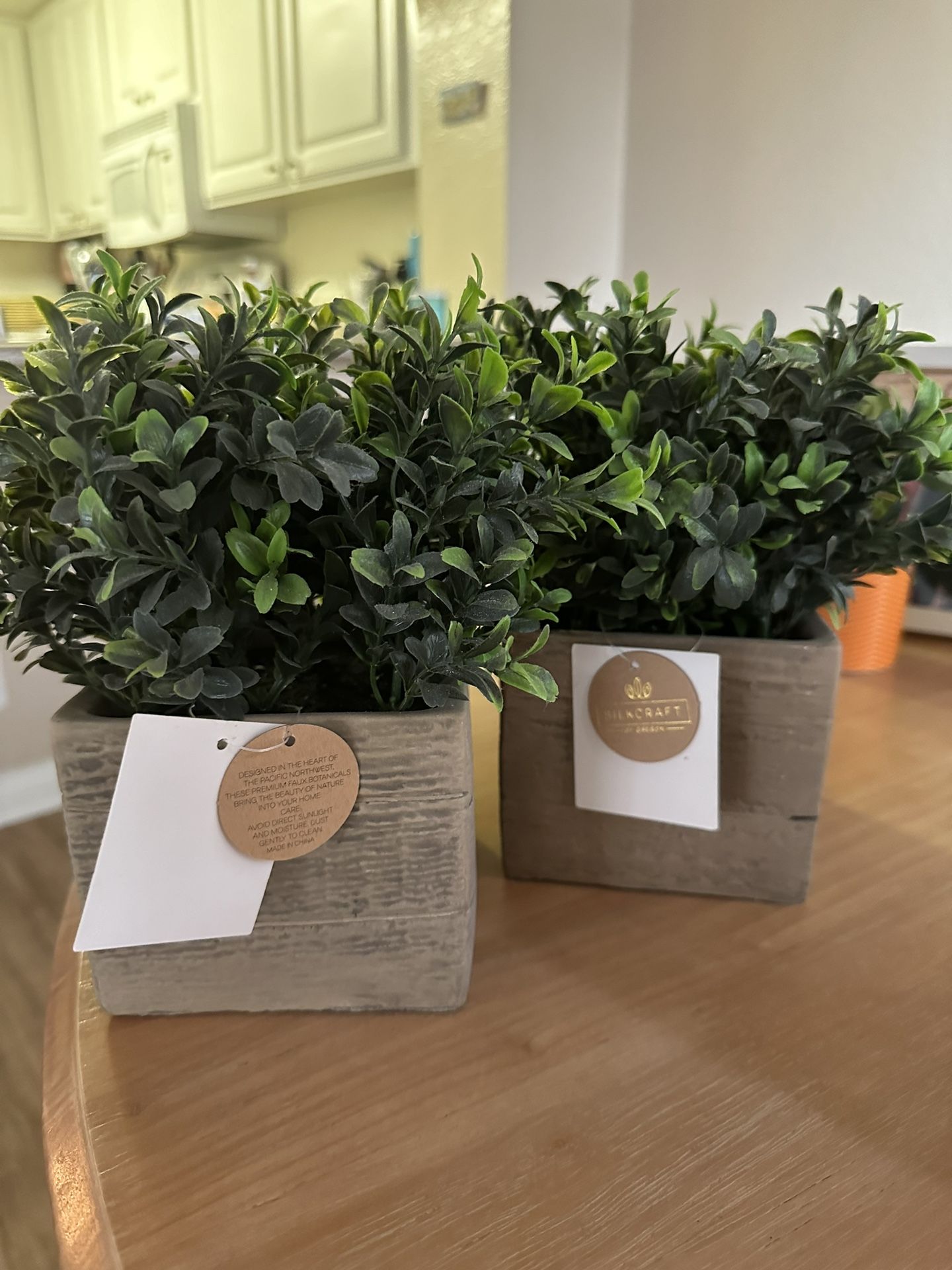 Fake Plant Decoration - 2