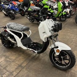 Brand New 2024 Honda Ruckus Clone - Ryker 150