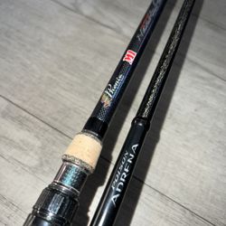 Phenix M1 Casting & Shimano Adrena Poison Spinning 