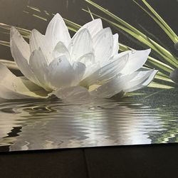 Wall art picture frame