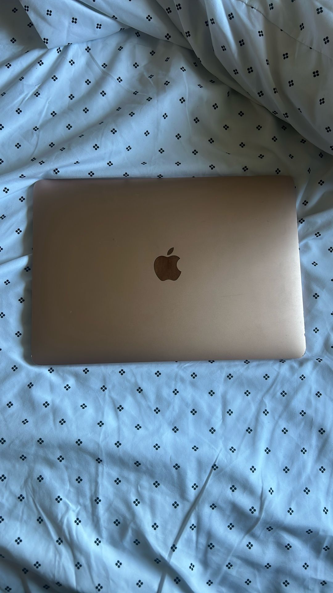 MacBook Air (M1)