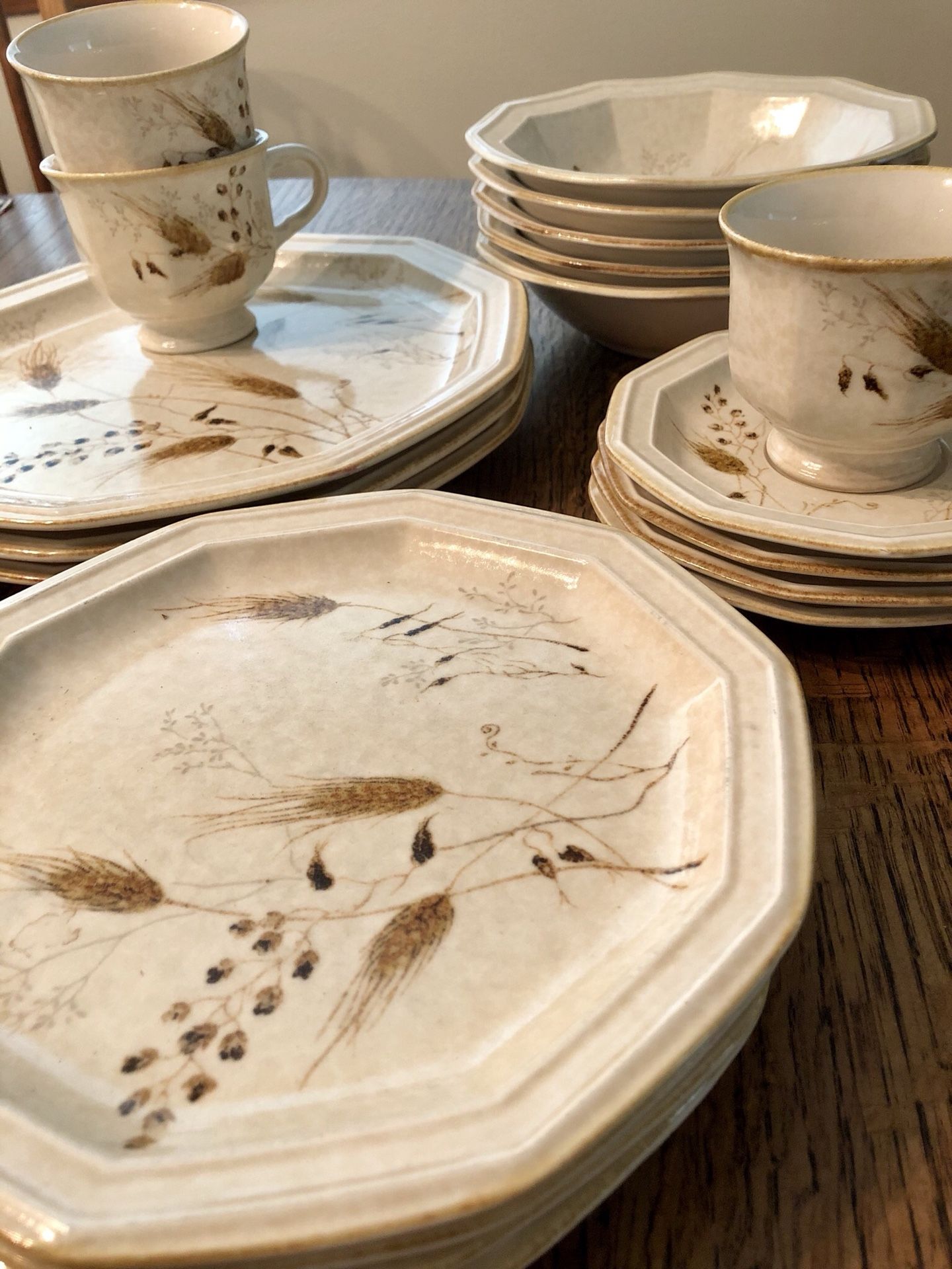Mikasa Torino Dishes/Dinnerware Set - Avante Ivory Wheat Design (original)