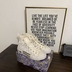 Dior high tops