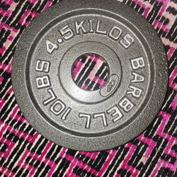 Barbell Only 1 