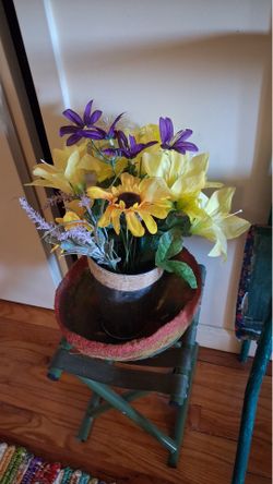 Decorative plants