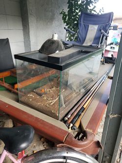 Iguana Cage With Light