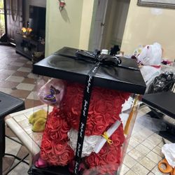 Regalo 🎁