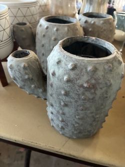 Cactus Vase