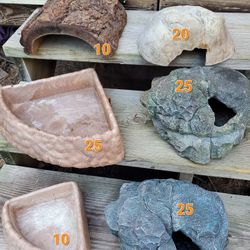 Reptile / Snake Hides And Bowls 