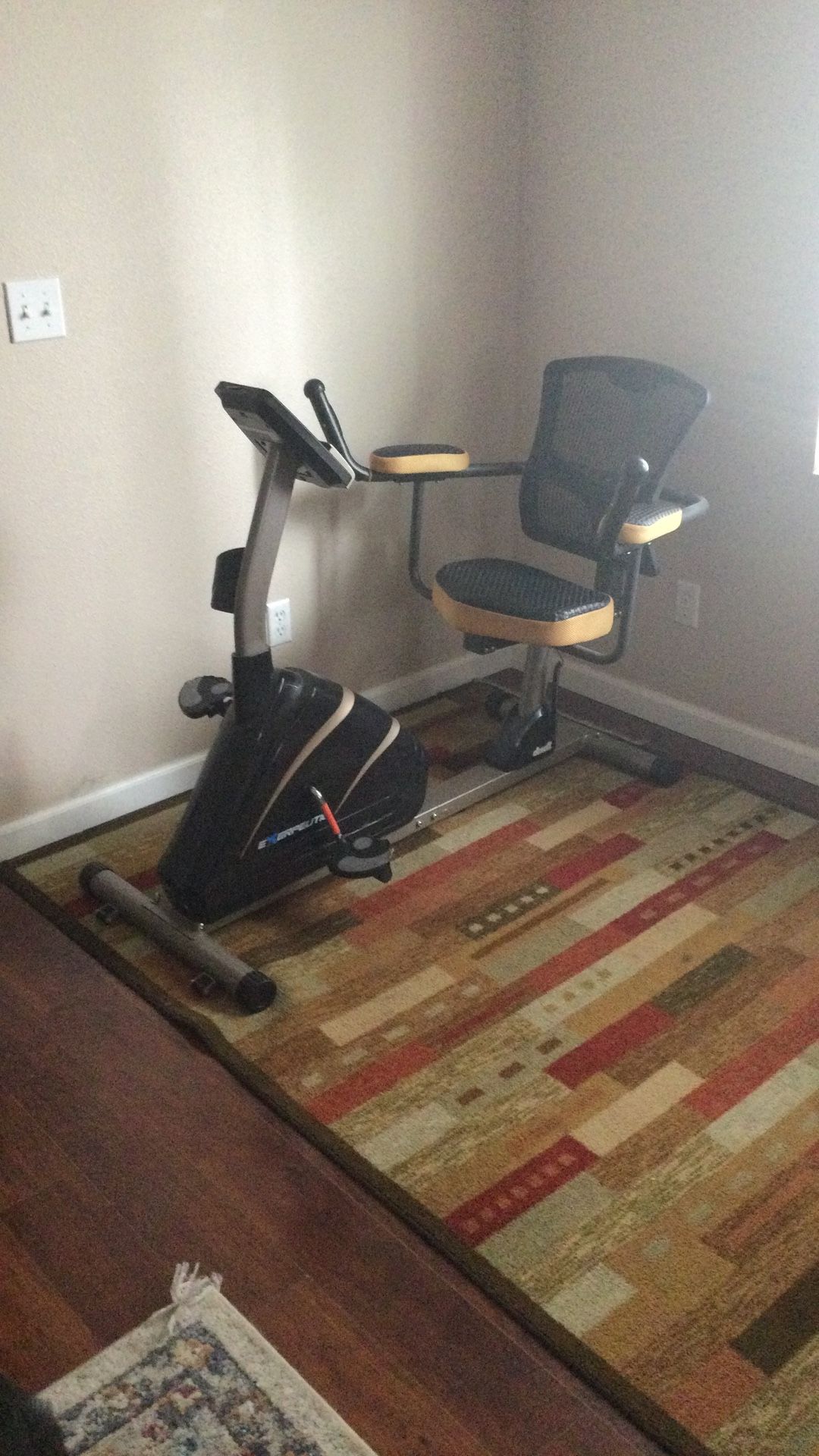 Recumbent Exercise Bike