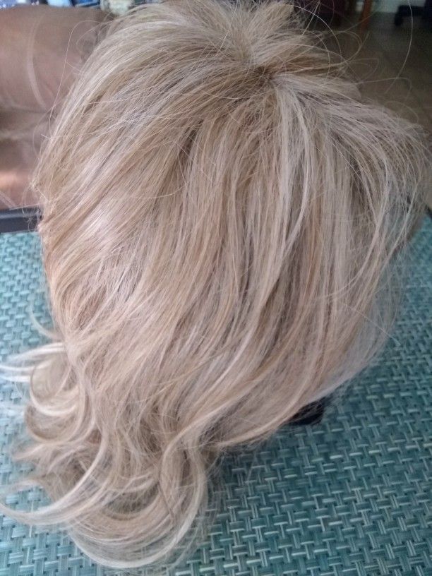 Adjustable Wig With Accessories Brand New