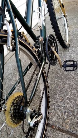 Scorpio pacific women's bike hot sale