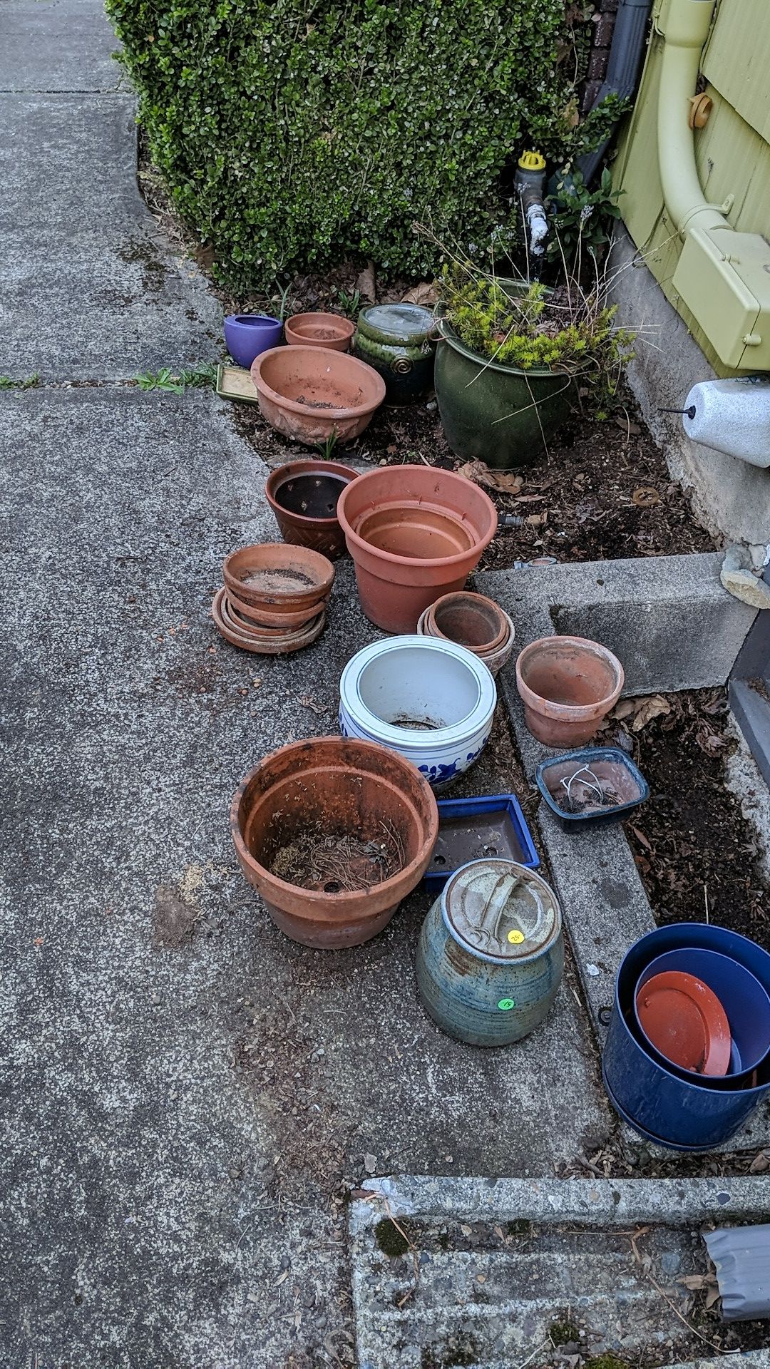 Pots - different sizes