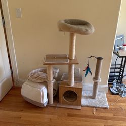 Cat Tree, Bed, Scratch Post 