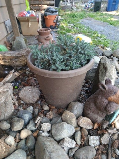 Two Hefty Plants.