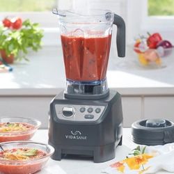 Vida Sana Blender