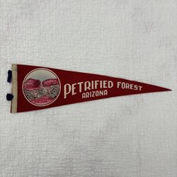 VTG PETRIFIED FOREST LOGS ARIZONA FELT Pennant 