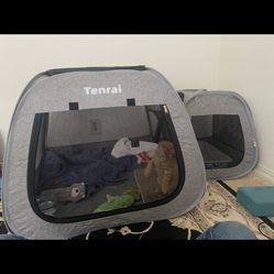 Kitten Tent And Supplies