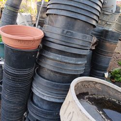 Boxes Para Plantas..20 Galones