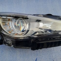 Q50 Headlight 