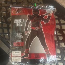 Ninja Costume