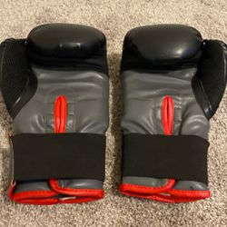 Everlasting Boxing Gloves 