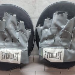 Everlast Punching Mits