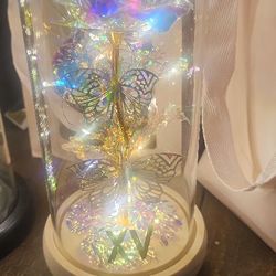 Light Up Butterfly Light With XV Printed On Them
