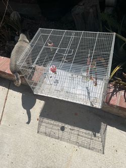 Cage for sell