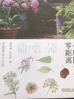 小庭院设计零距离 Chinese Garden Design Book