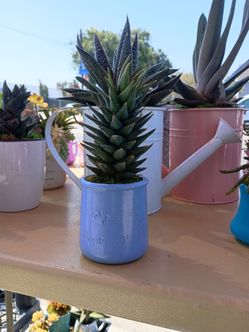 Plantita