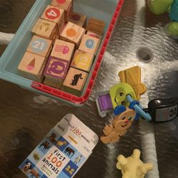 Baby Toddler Blocks Toy Keys Ball Animals Learning Cards 