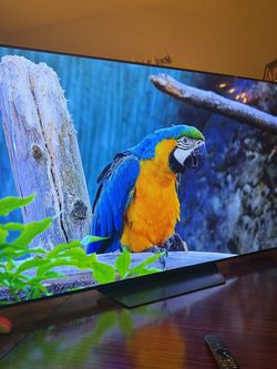 65” LG B2 OLED