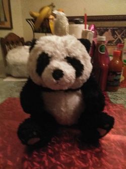 Panda plishie