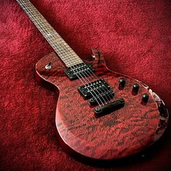 ESP Ltd EC-100QM
