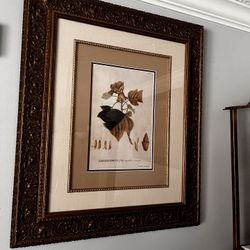 Antique Wall Picture Frame 