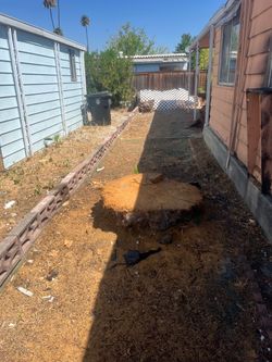 🪵🪵🪵Stump Grinding 🪵🪵🪵🪵🪵