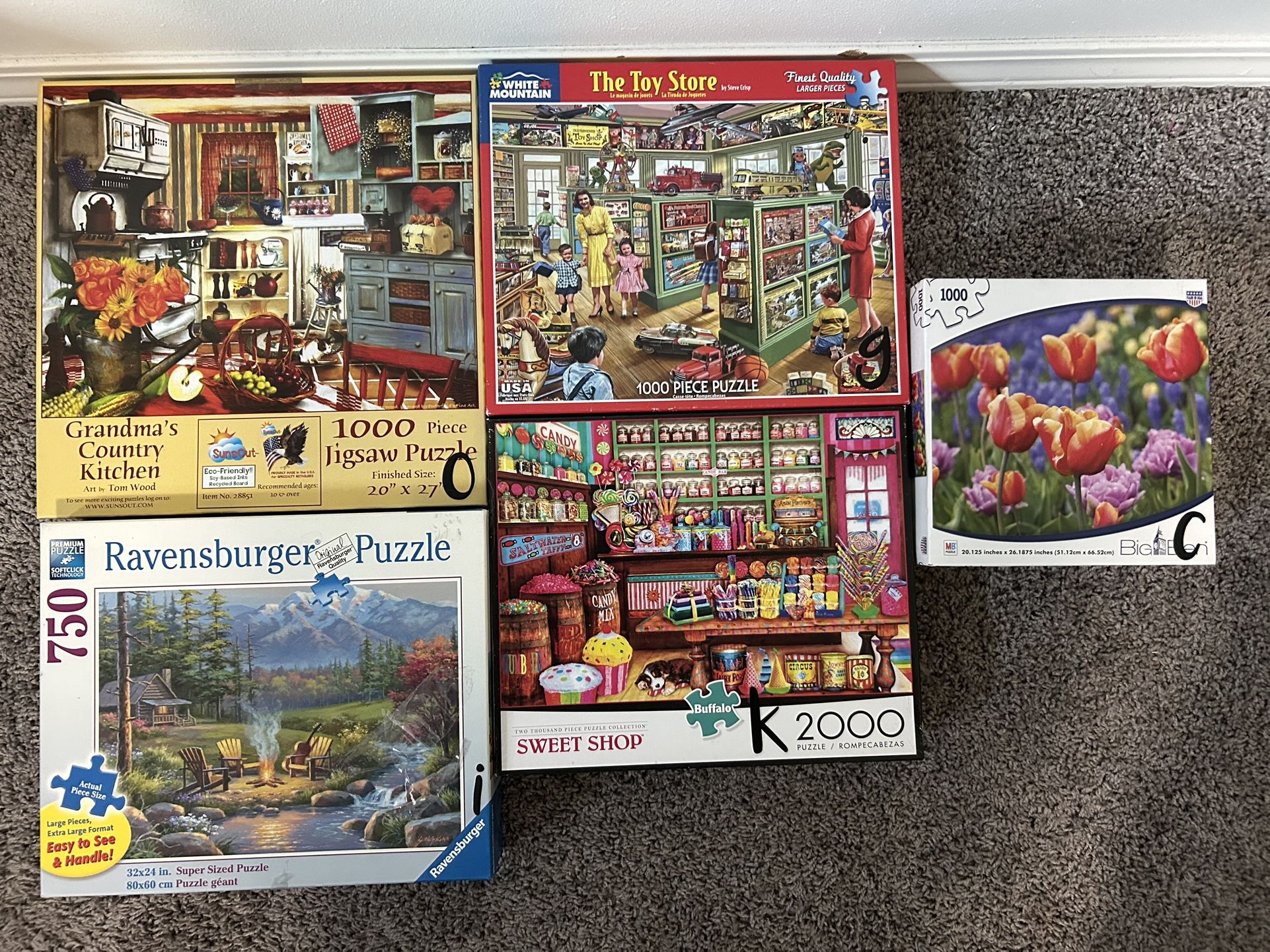 Puzzle Set $15