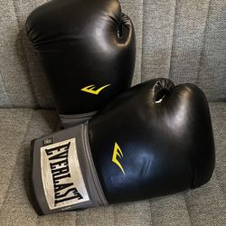 Everlast 16oz Boxing Gloves